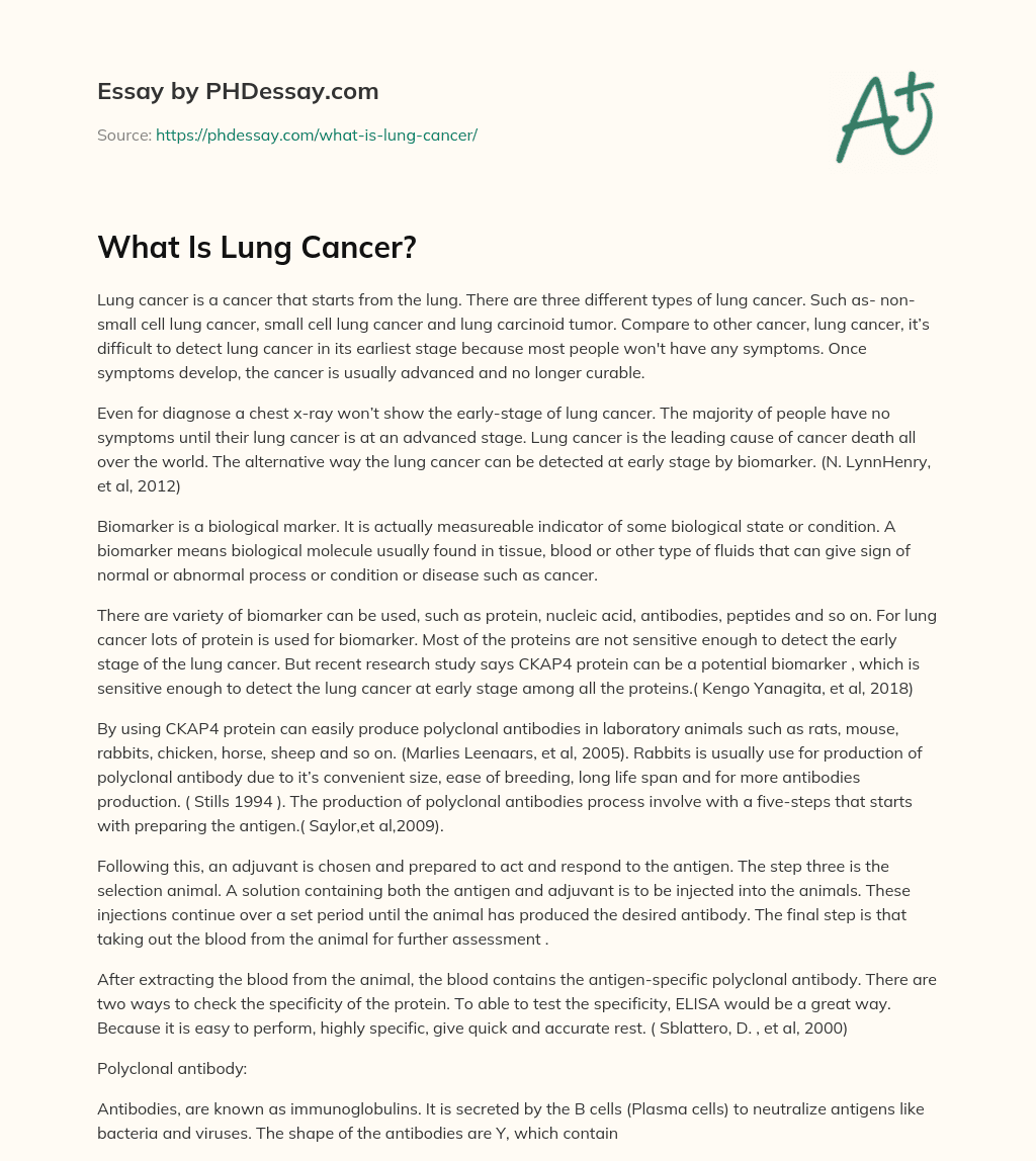 What Is Lung Cancer? essay