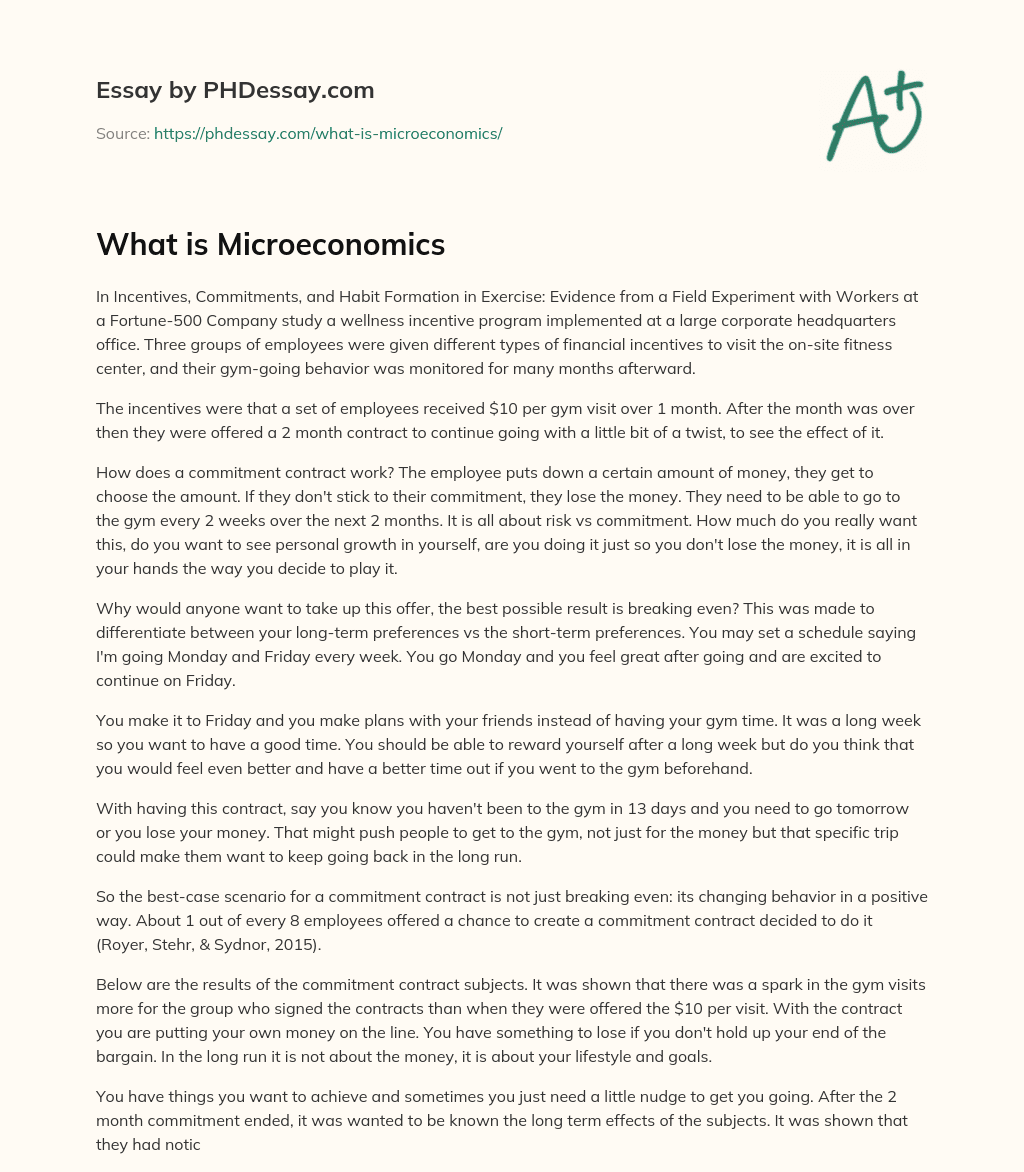 What is Microeconomics essay