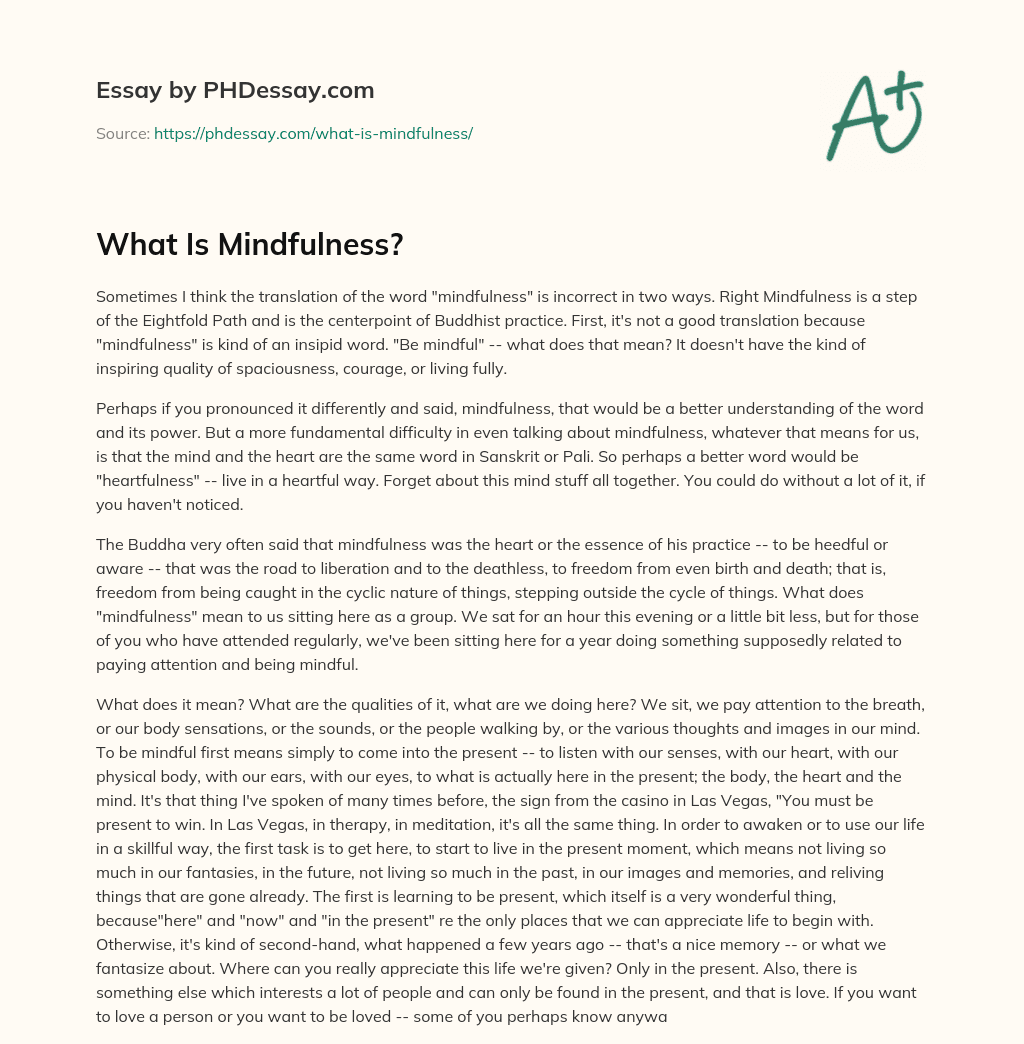 What Is Mindfulness? essay