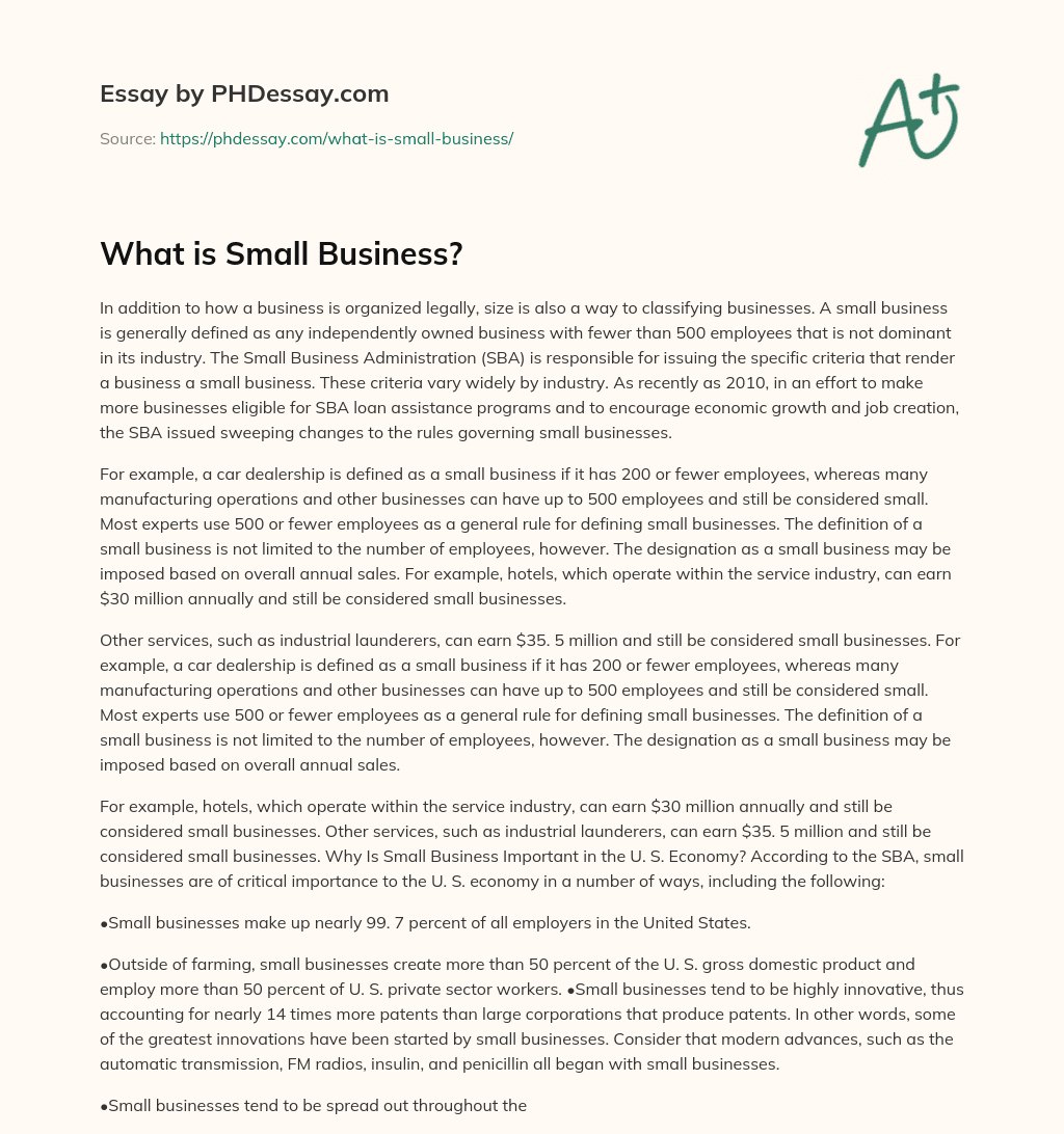 What is Small Business? essay