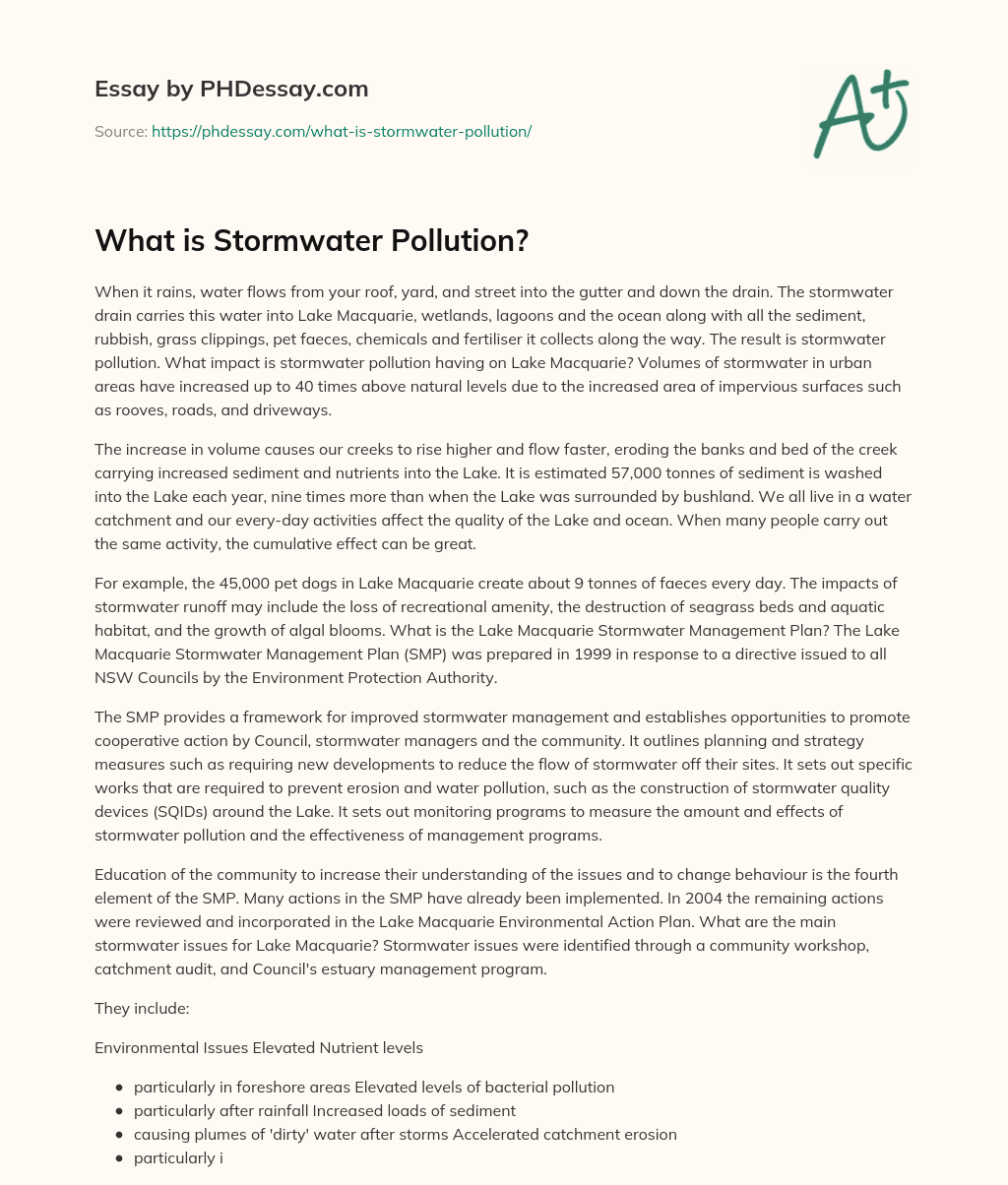 What is Stormwater Pollution? essay