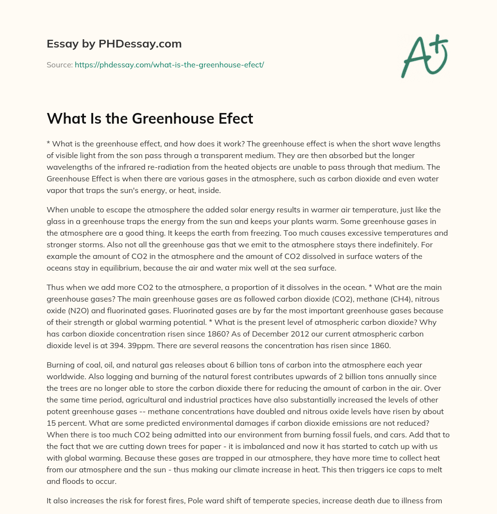What Is the Greenhouse Efect essay