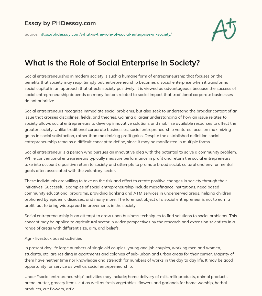 What Is the Role of Social Enterprise In Society? essay