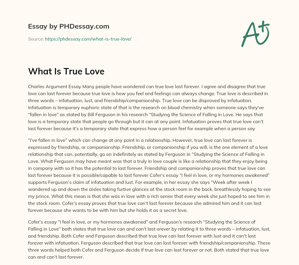 short essay about true love