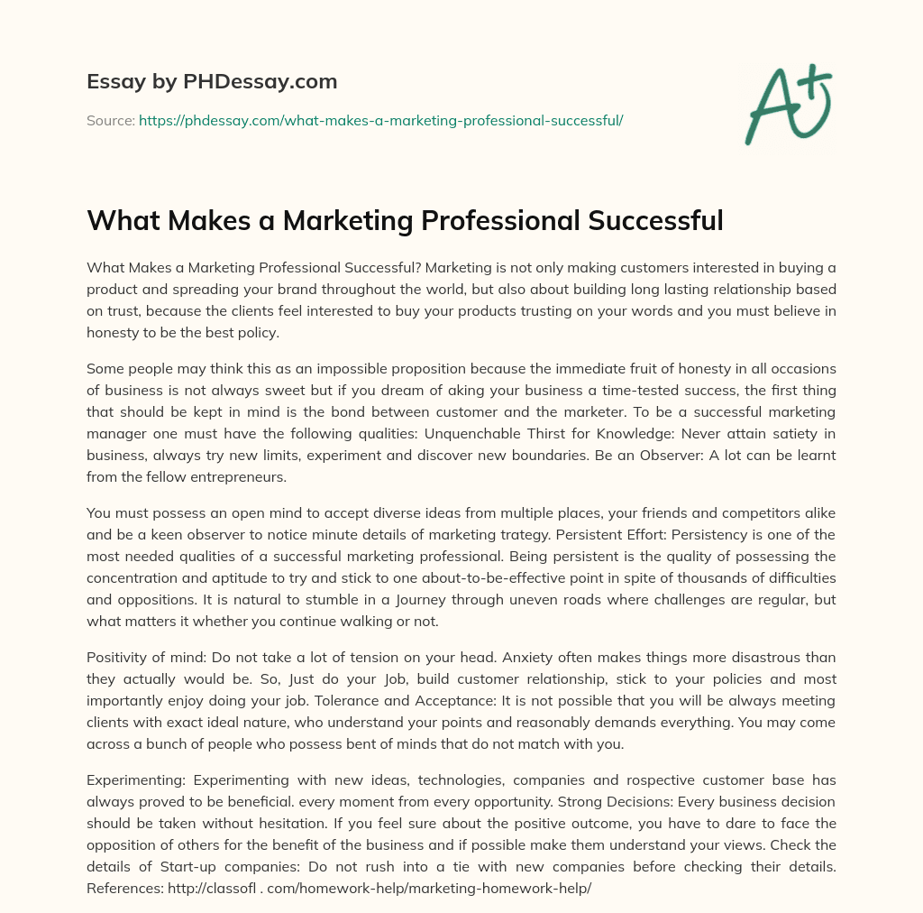 What Makes a Marketing Professional Successful essay