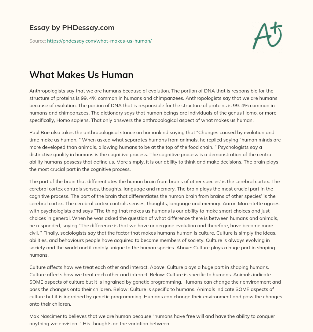 what makes us human essay brainly