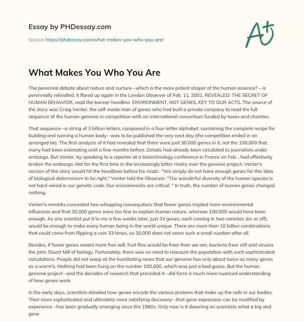 What Makes You Who You Are essay