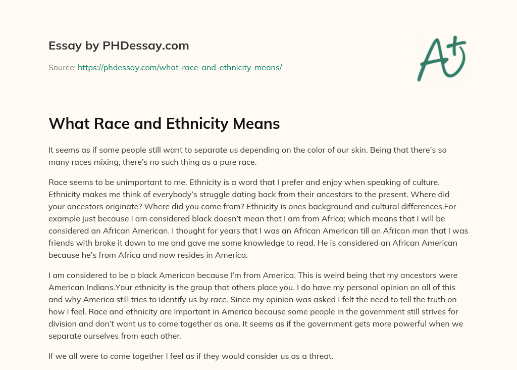 essay on race and ethnicity