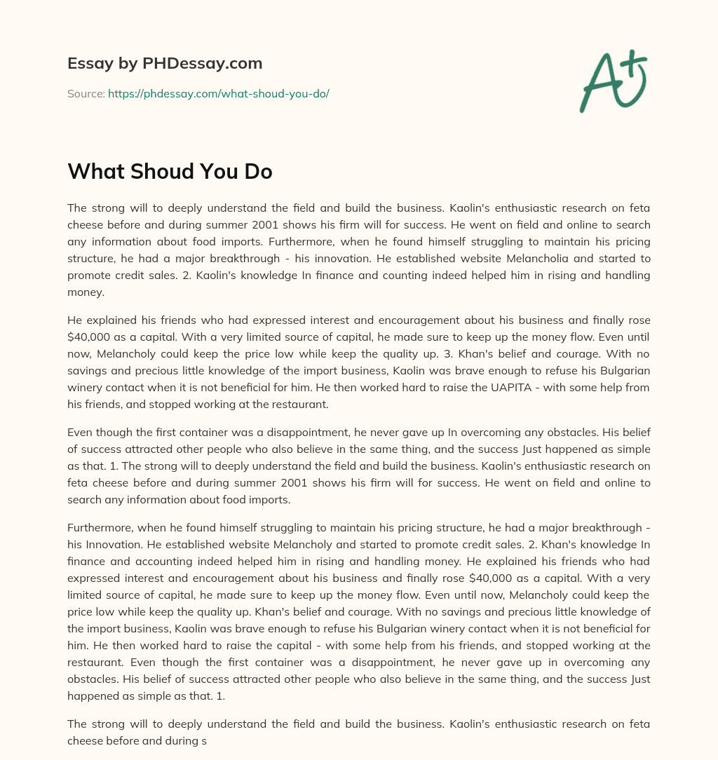 What Shoud You Do essay