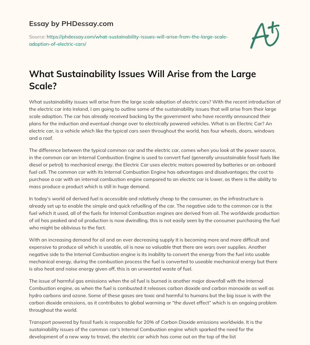 What Sustainability Issues Will Arise from the Large Scale? essay