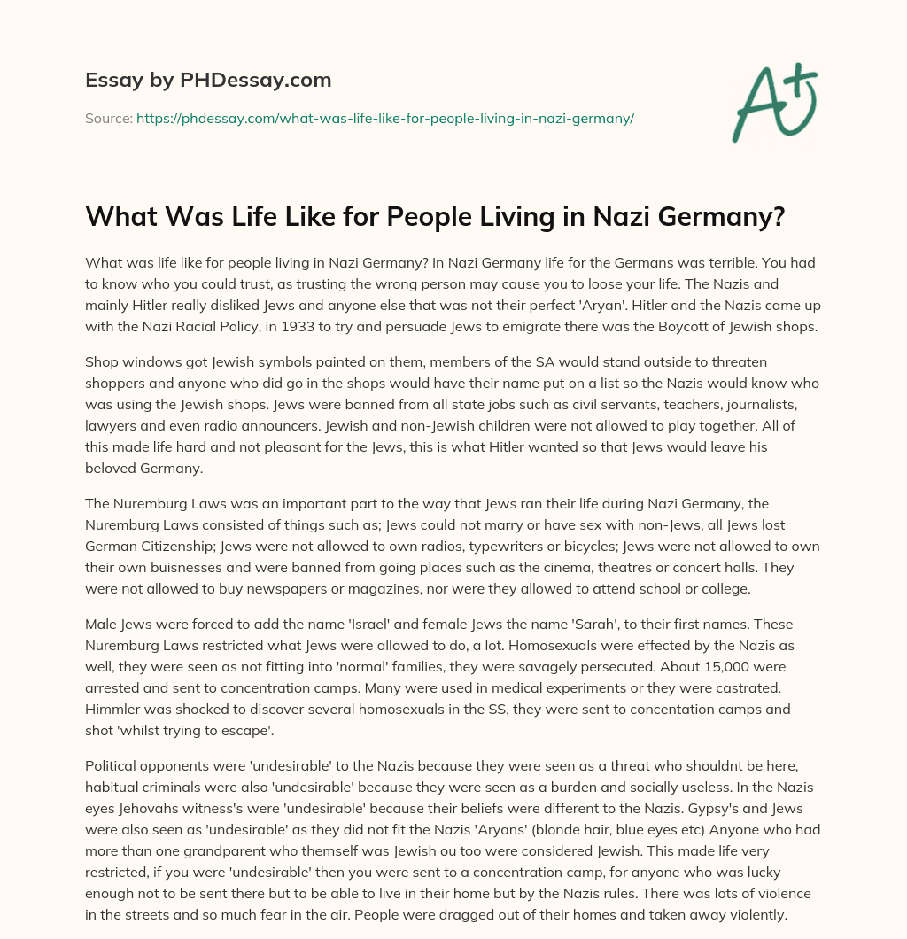 What Was Life Like for People Living in Nazi Germany? essay