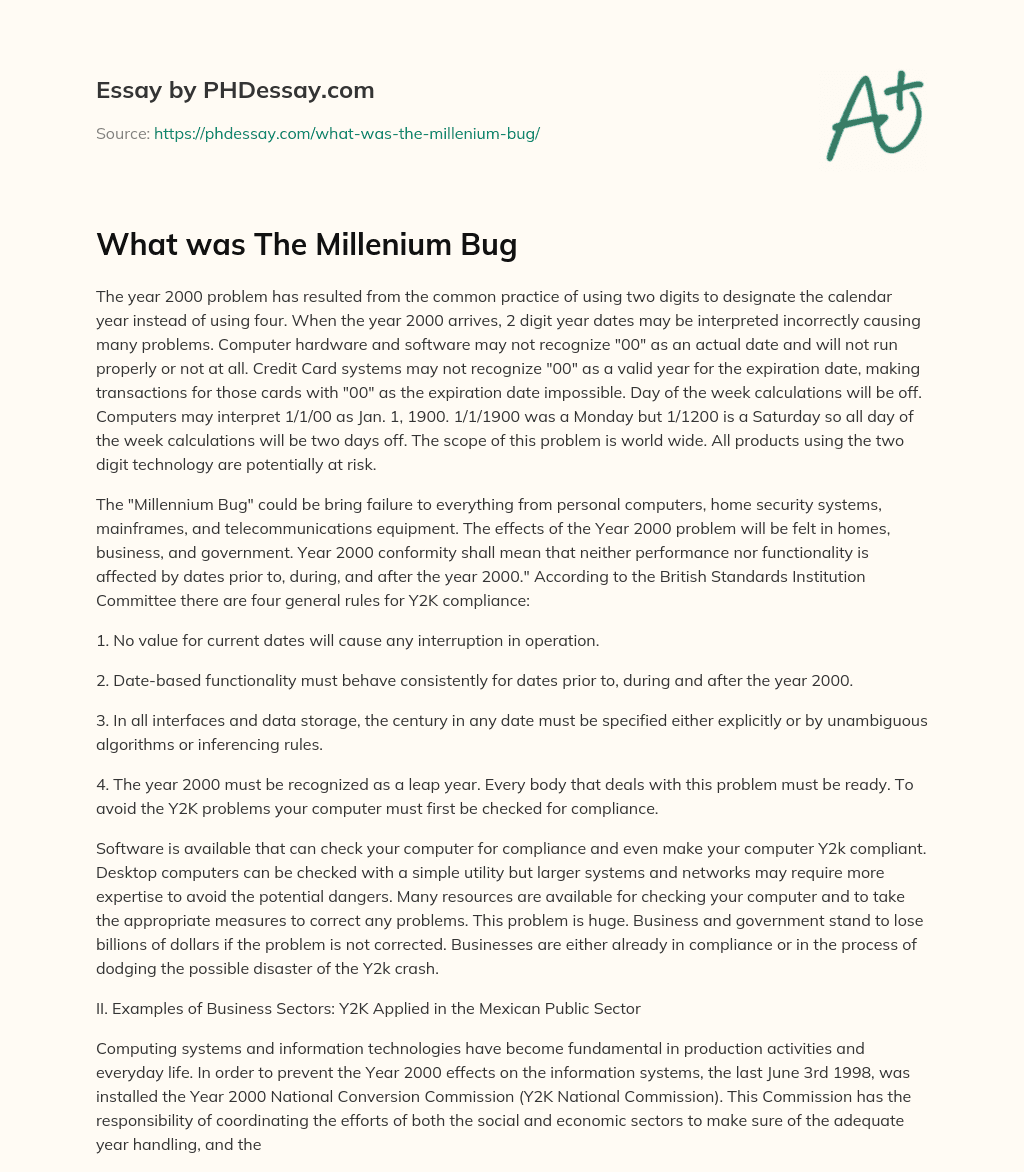 What was The Millenium Bug essay