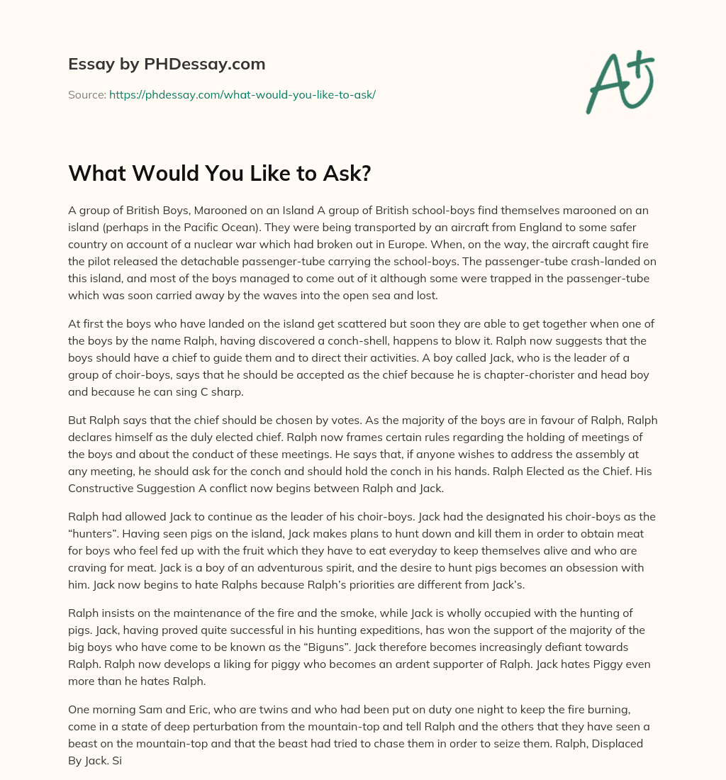 What Would You Like to Ask? essay