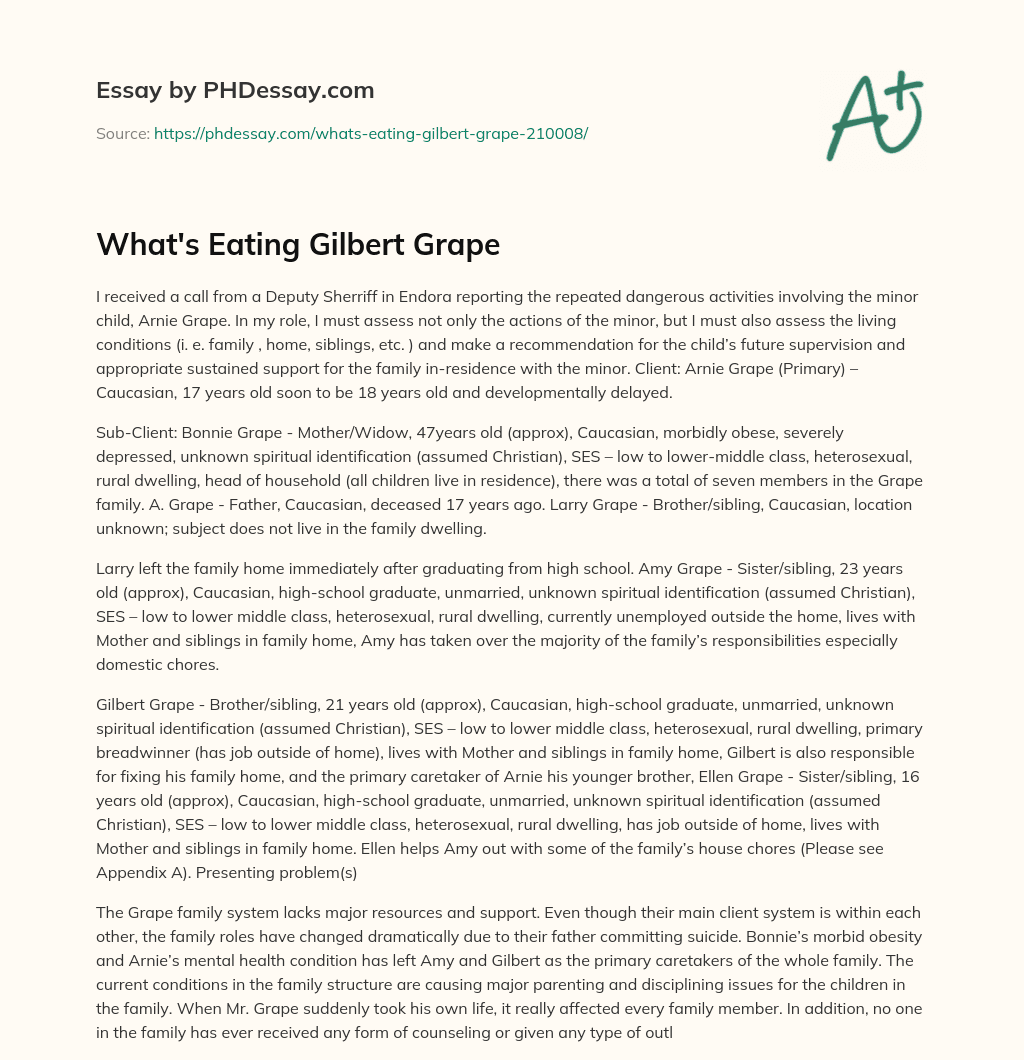 What’s Eating Gilbert Grape essay