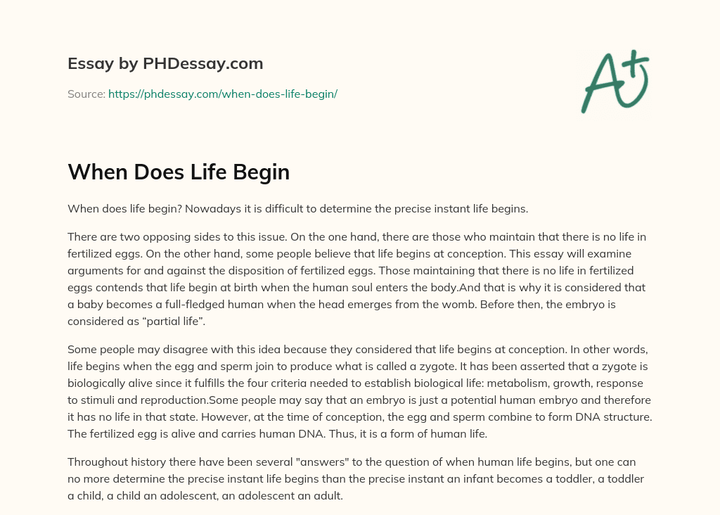 new beginning of life essay