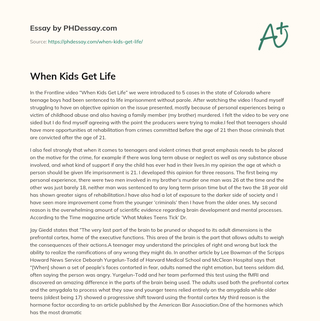 When Kids Get Life essay