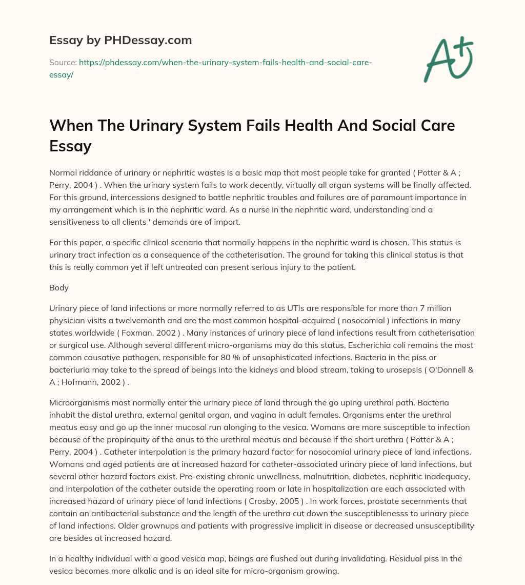 When The Urinary System Fails Health And Social Care Essay essay