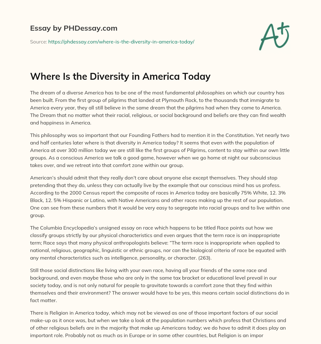 Where Is the Diversity in America Today essay