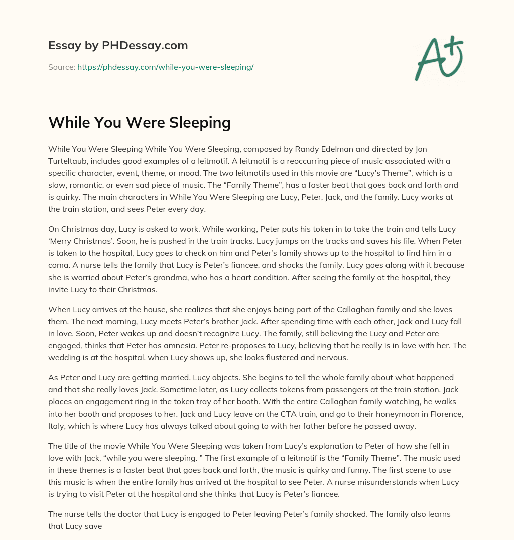 While You Were Sleeping essay