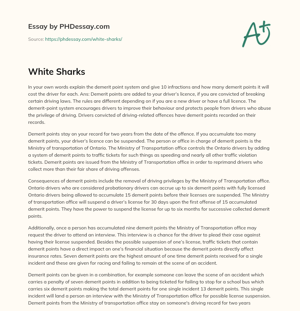 White Sharks essay