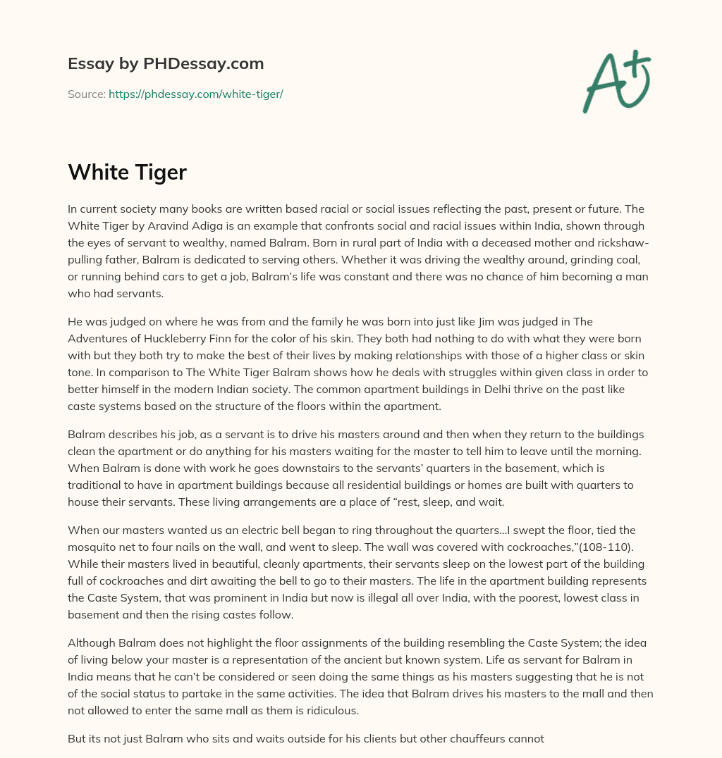 White Tiger essay