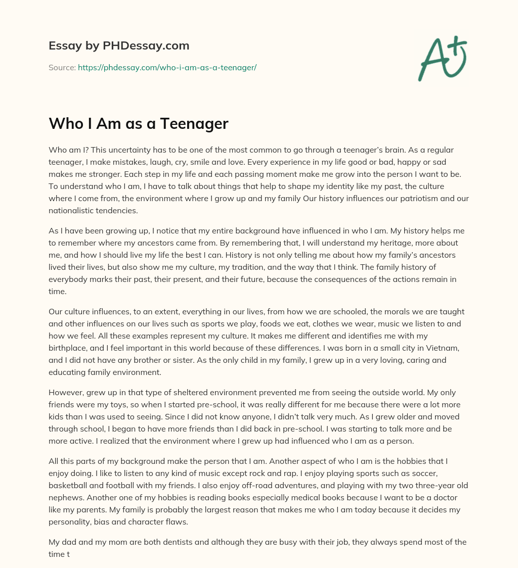Who I Am as a Teenager essay