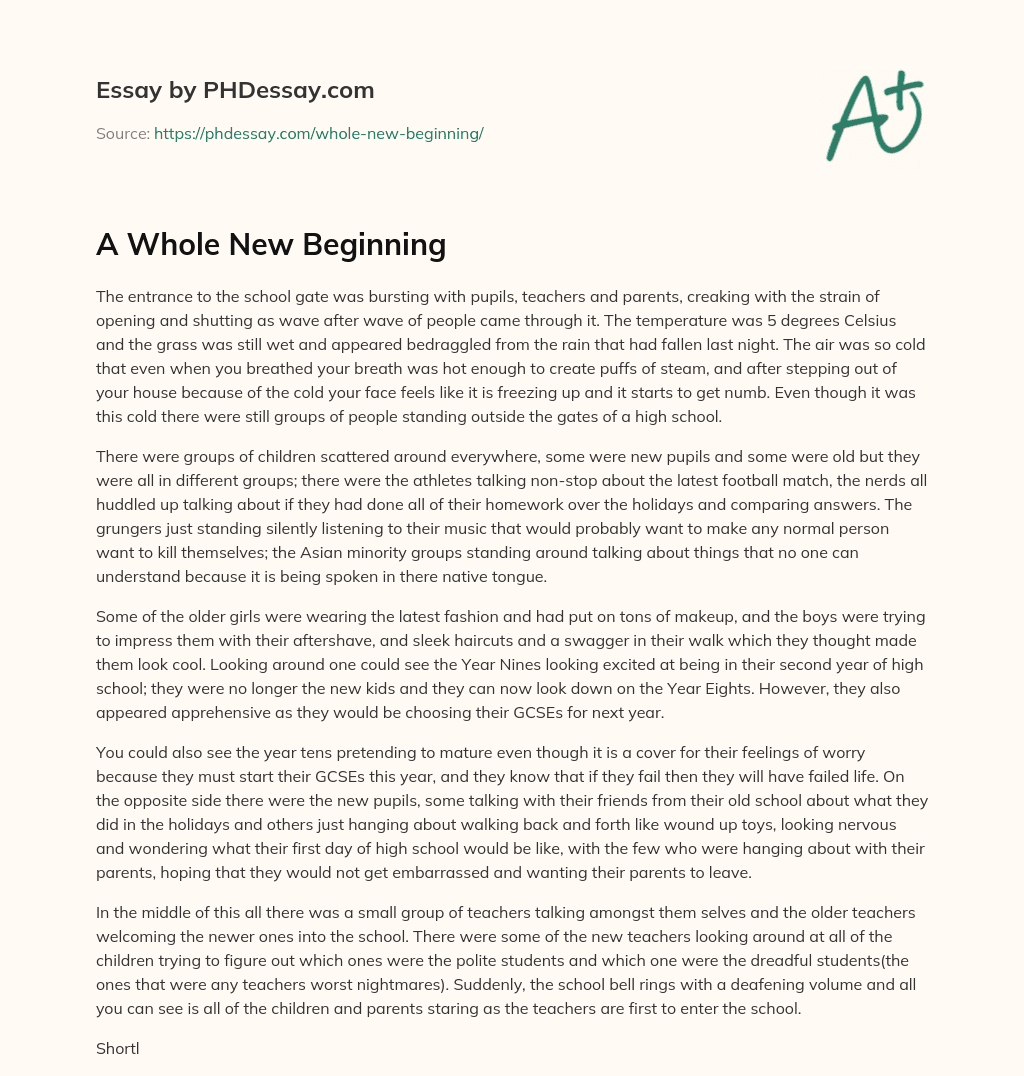 A Whole New Beginning essay