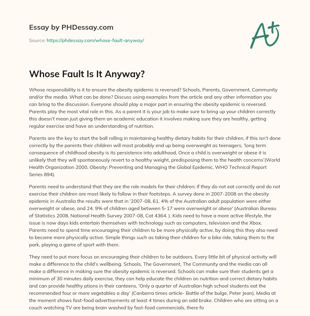 Whose Fault Is It Anyway? essay