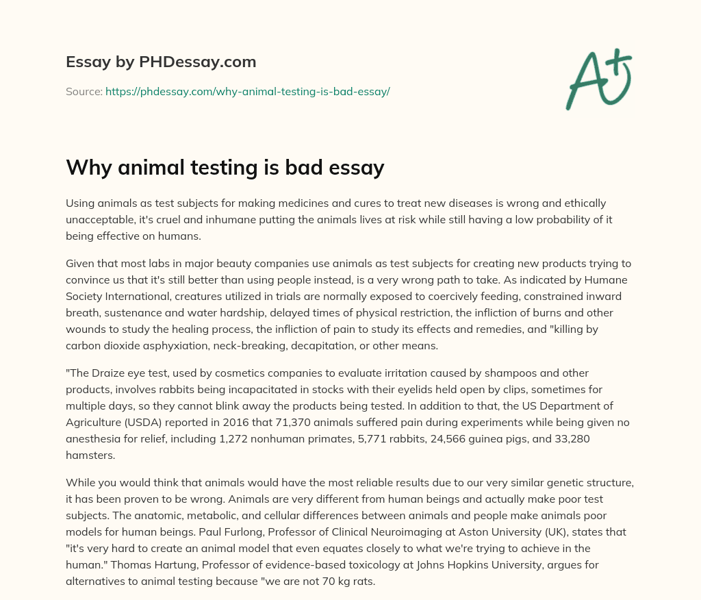 Why Animal Testing Is Bad Essay 300 Words PHDessay