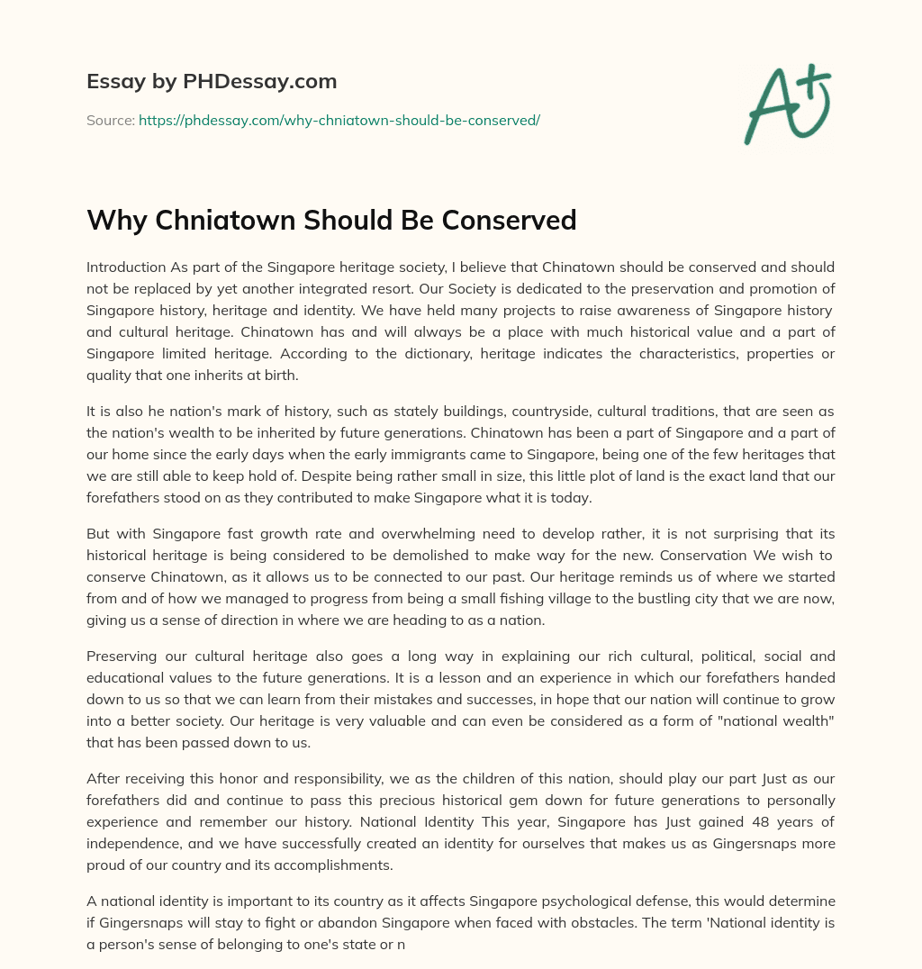 Why Chniatown Should Be Conserved essay