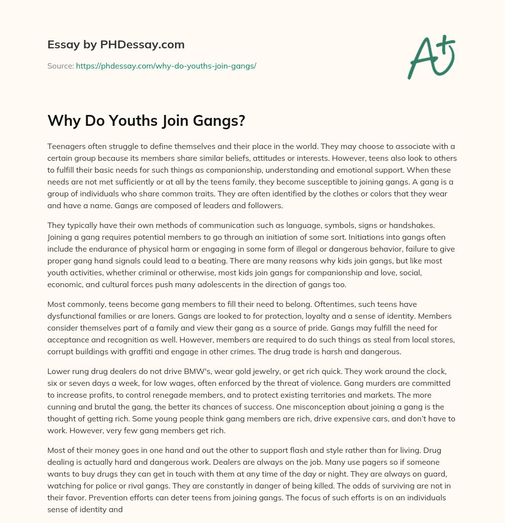 Why Do Youths Join Gangs? essay