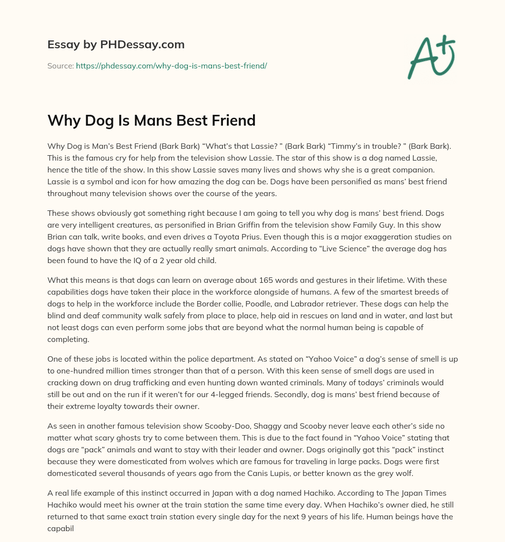 Why Dog Is Mans Best Friend essay