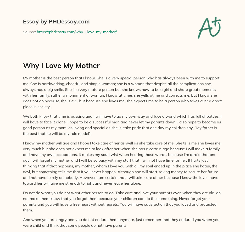 Why I Love My Mother essay