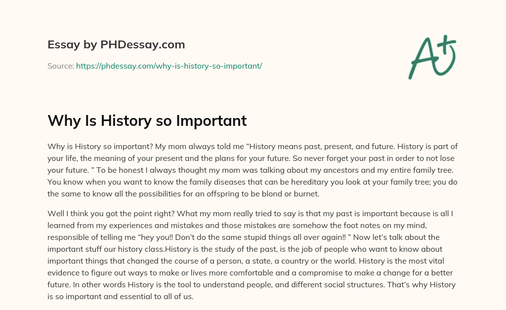 Why Is History so Important essay