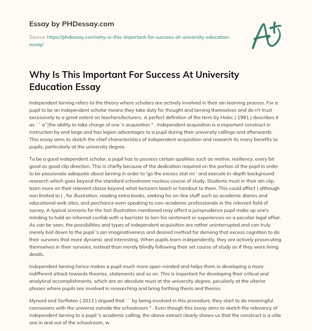 Why Is This Important For Success At University Education Essay essay