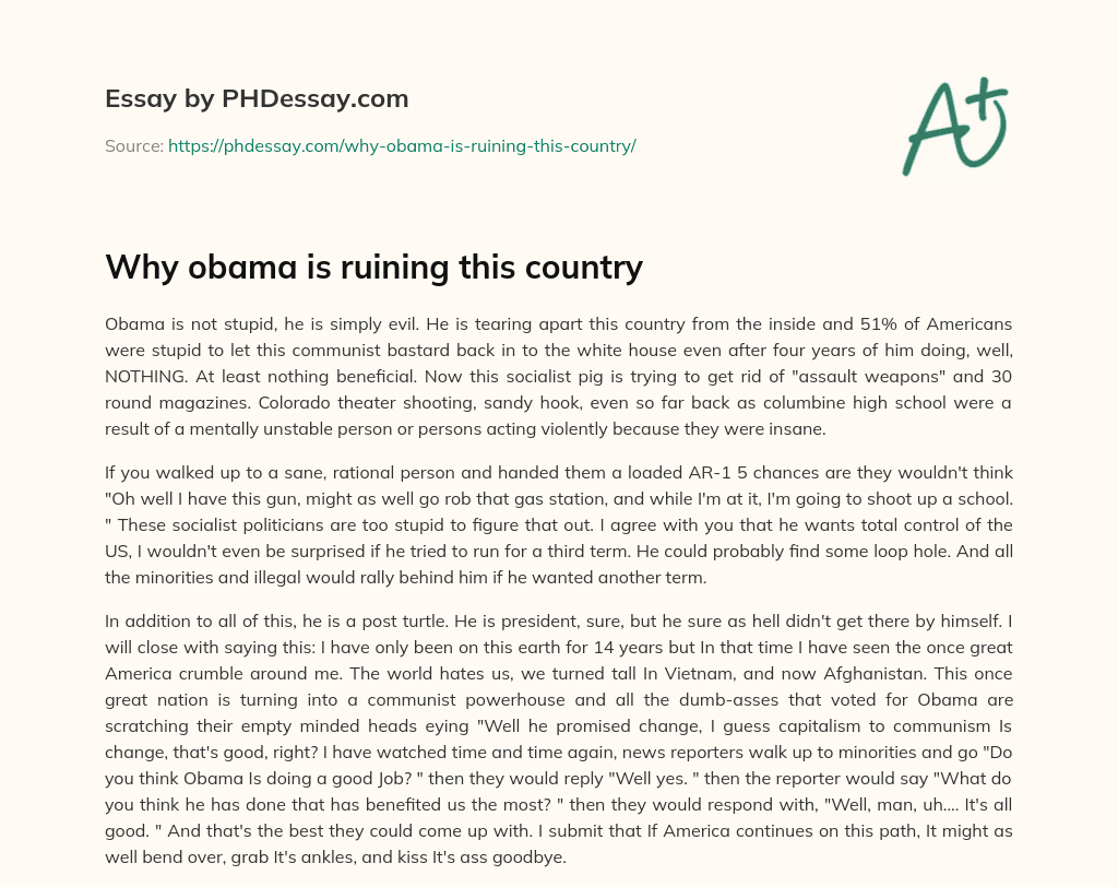 Why obama is ruining this country essay