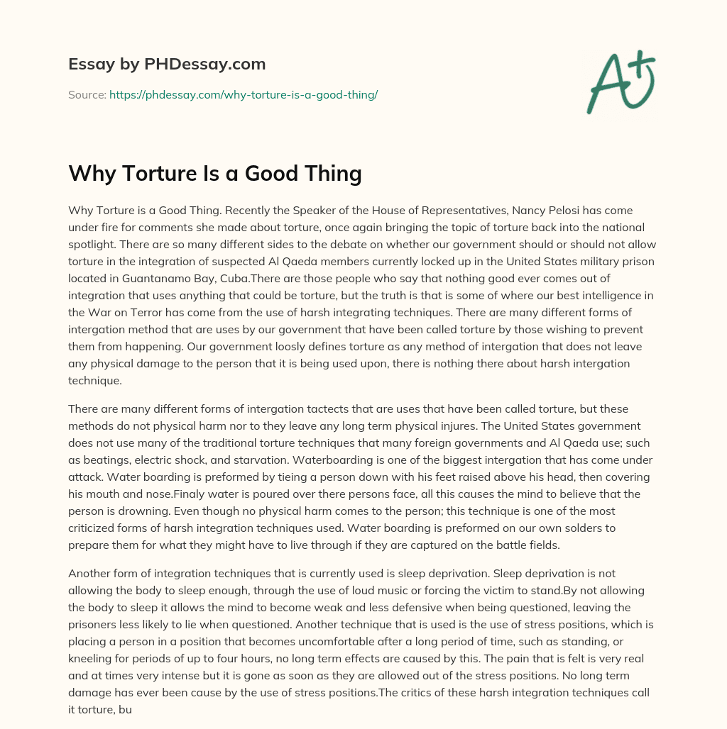 Why Torture Is a Good Thing essay