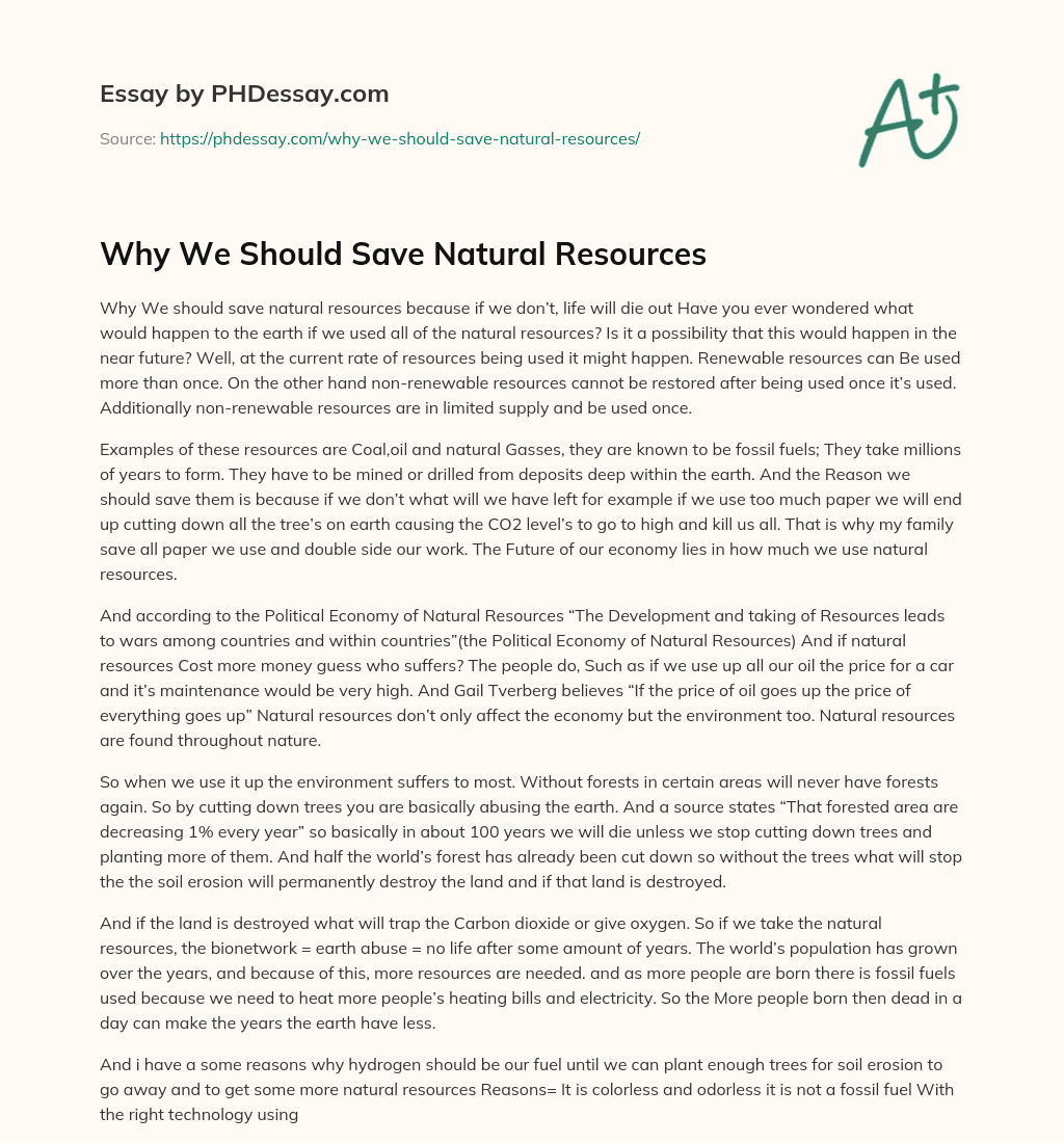 Why We Should Save Natural Resources essay