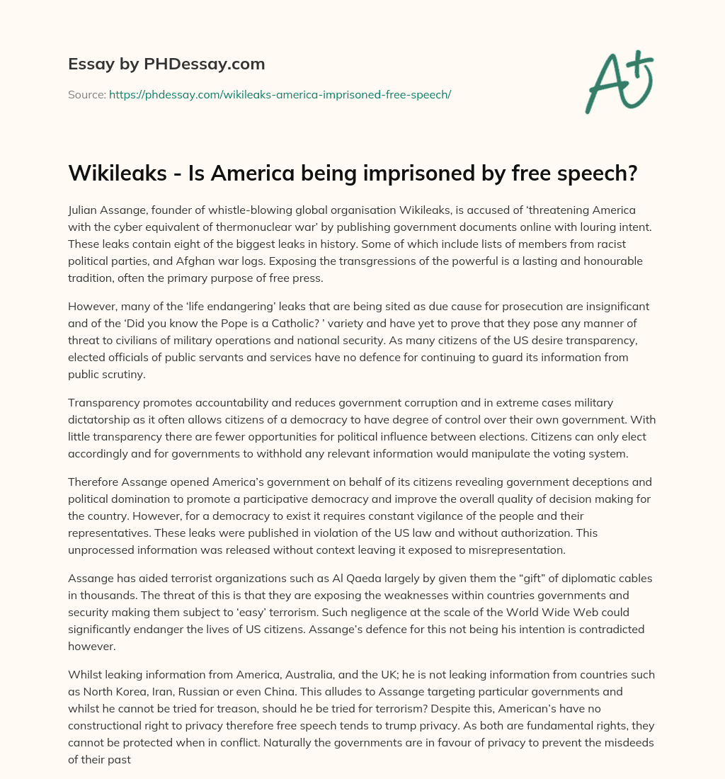 Wikileaks – Is America being imprisoned by free speech? essay
