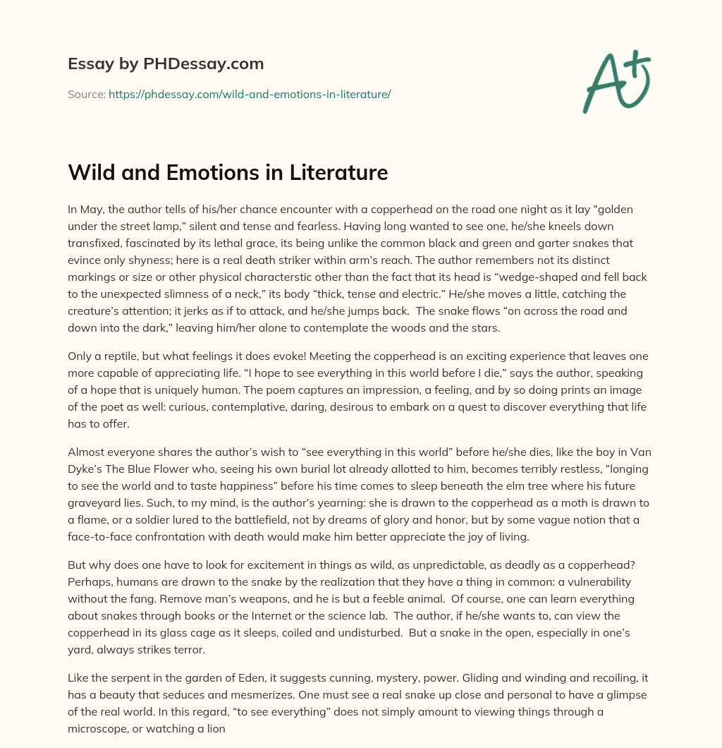 Wild and Emotions in Literature essay