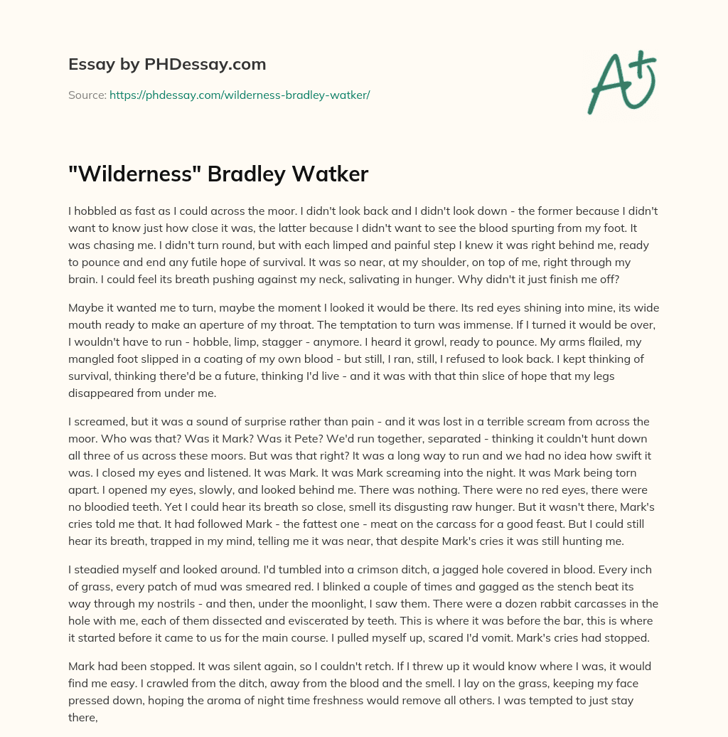 “Wilderness” Bradley Watker essay