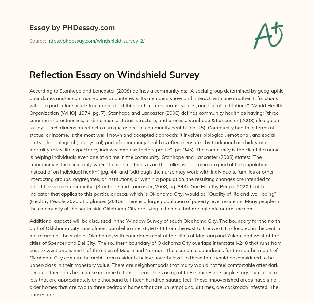 Reflection Essay on Windshield Survey essay