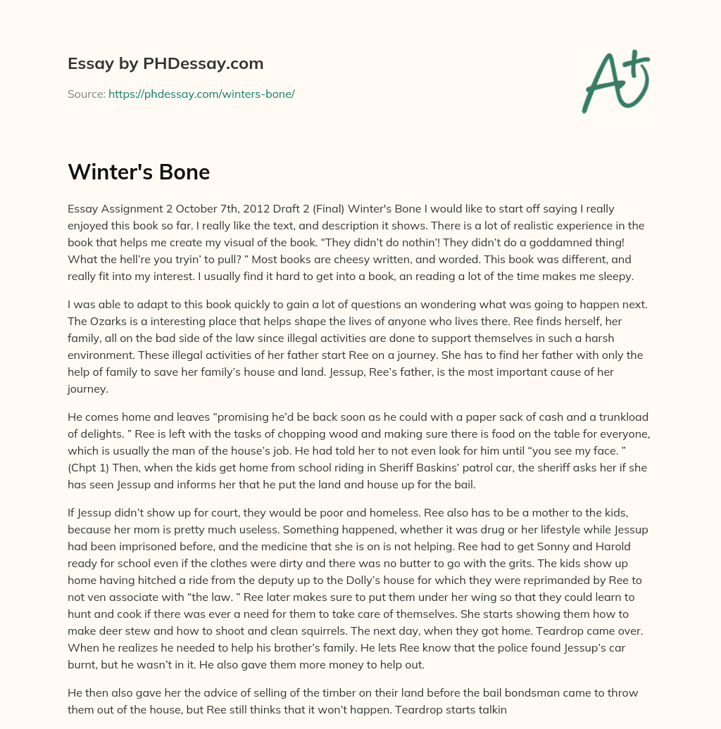 Winter’s Bone essay