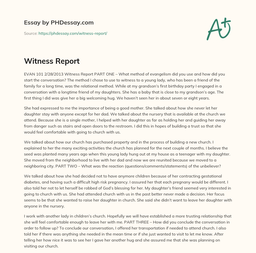 Witness Report essay