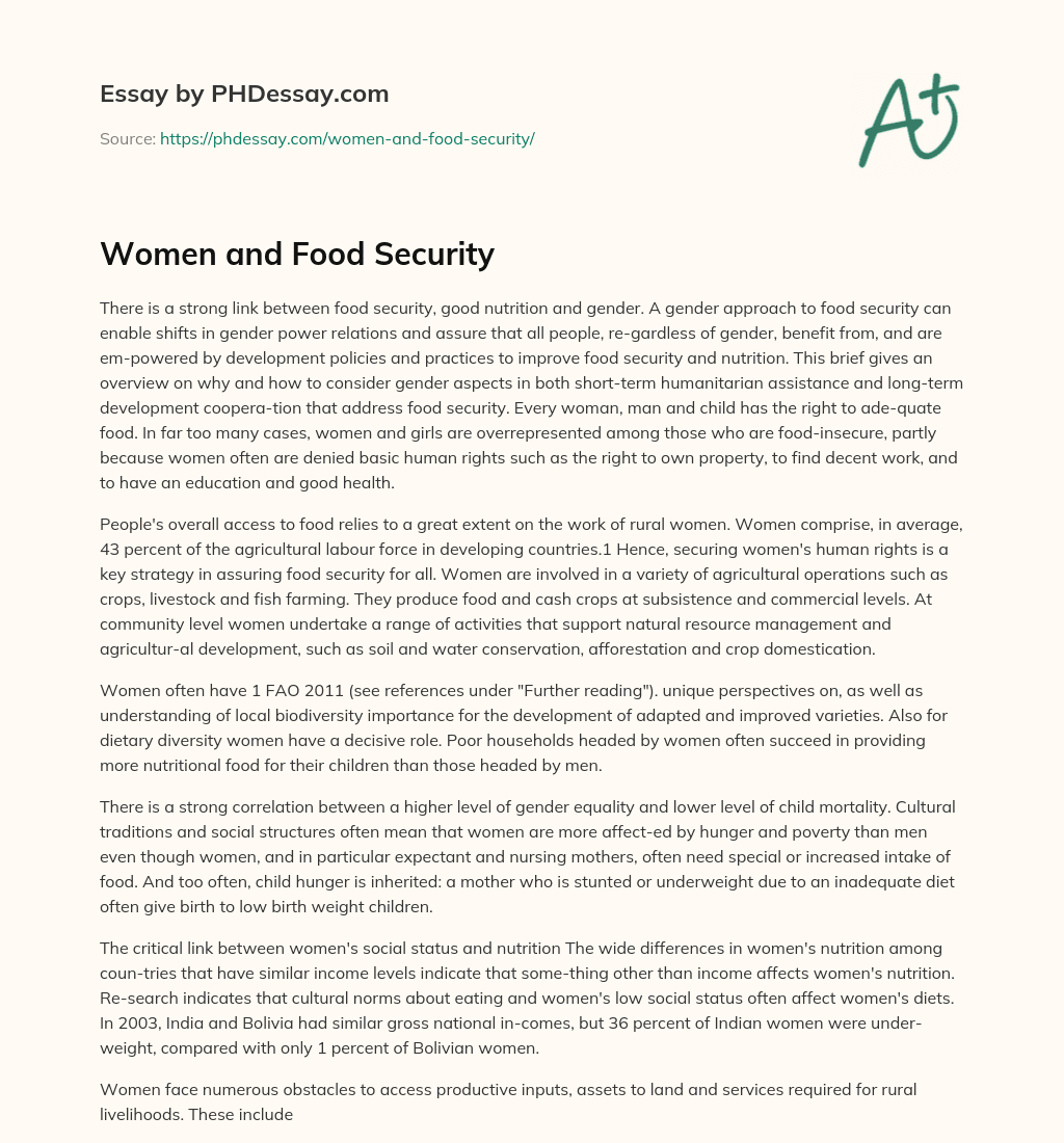 Women and Food Security essay