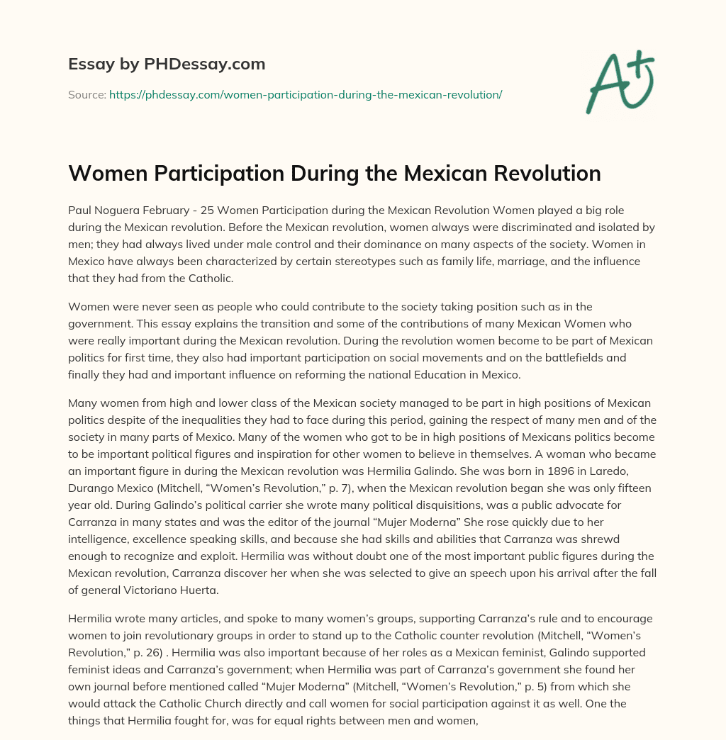 Women Participation During the Mexican Revolution essay