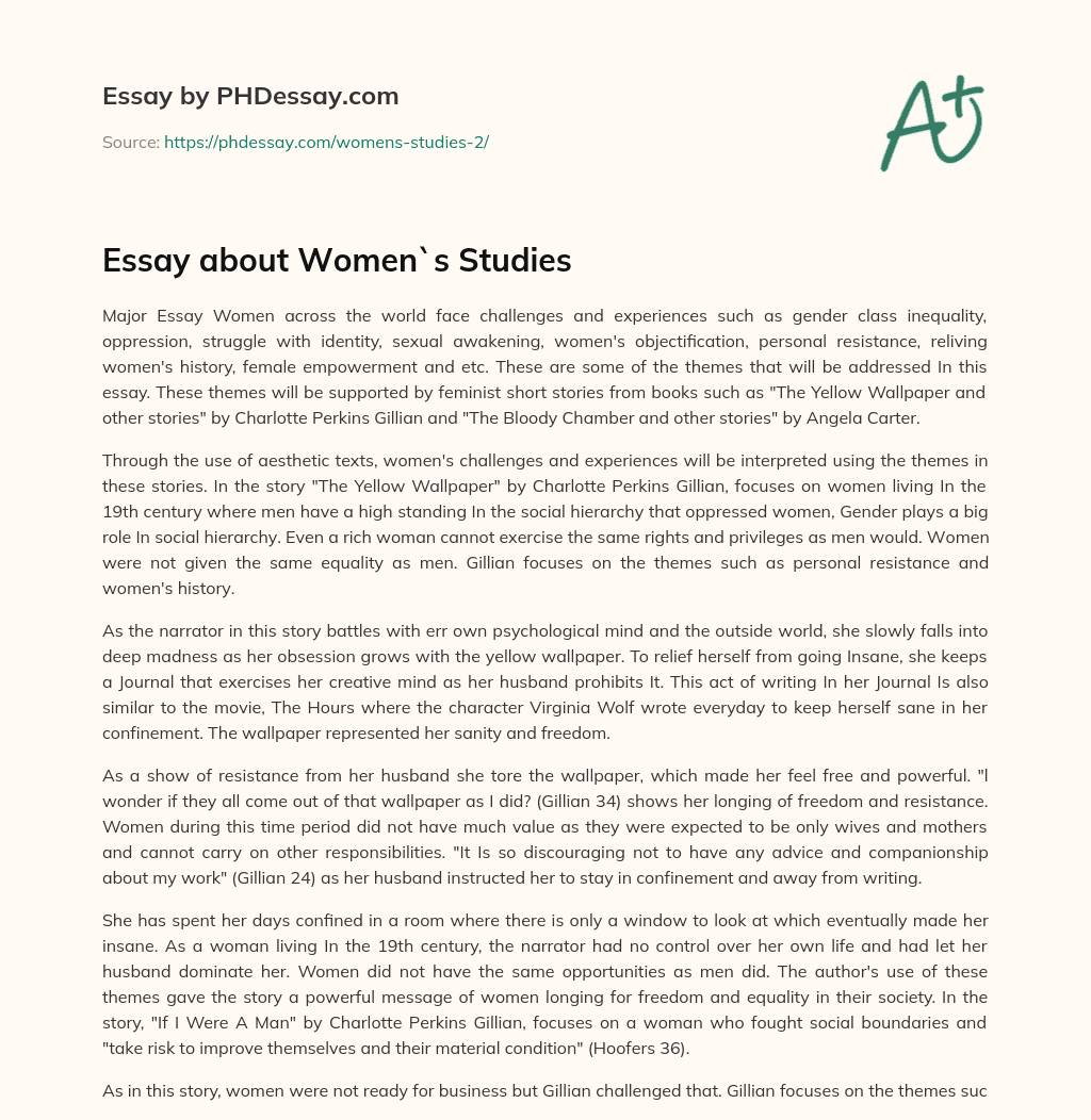 Essay about Women`s Studies essay