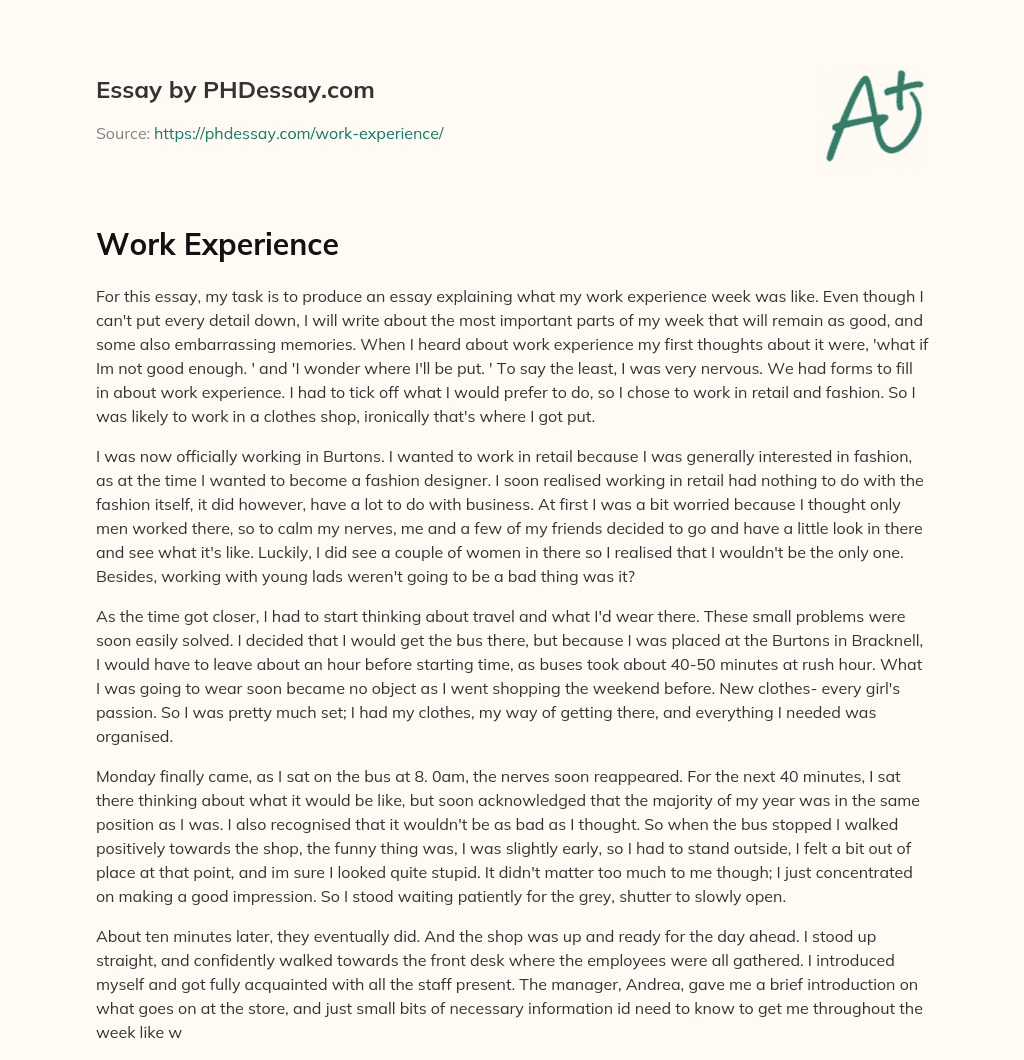 professional work experience essay