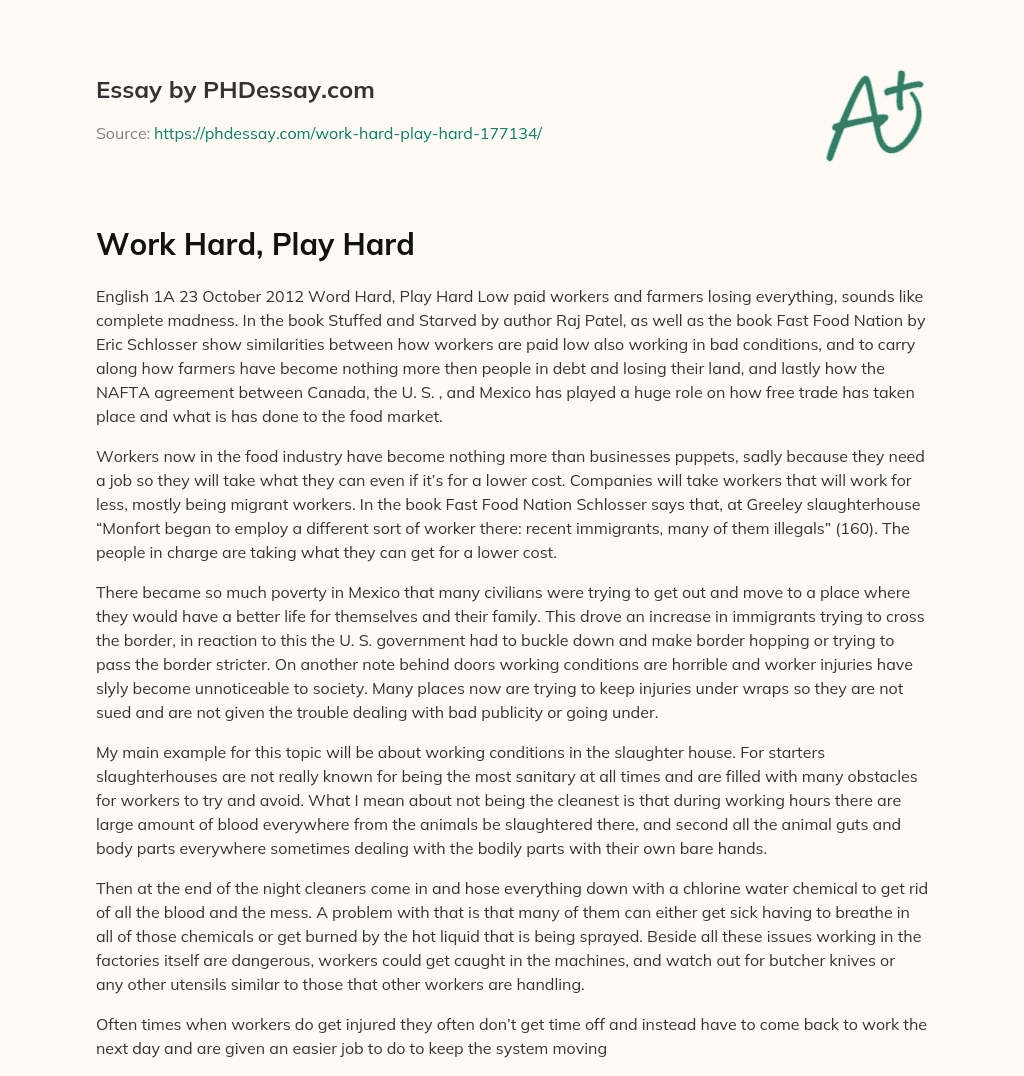 Work Hard, Play Hard essay