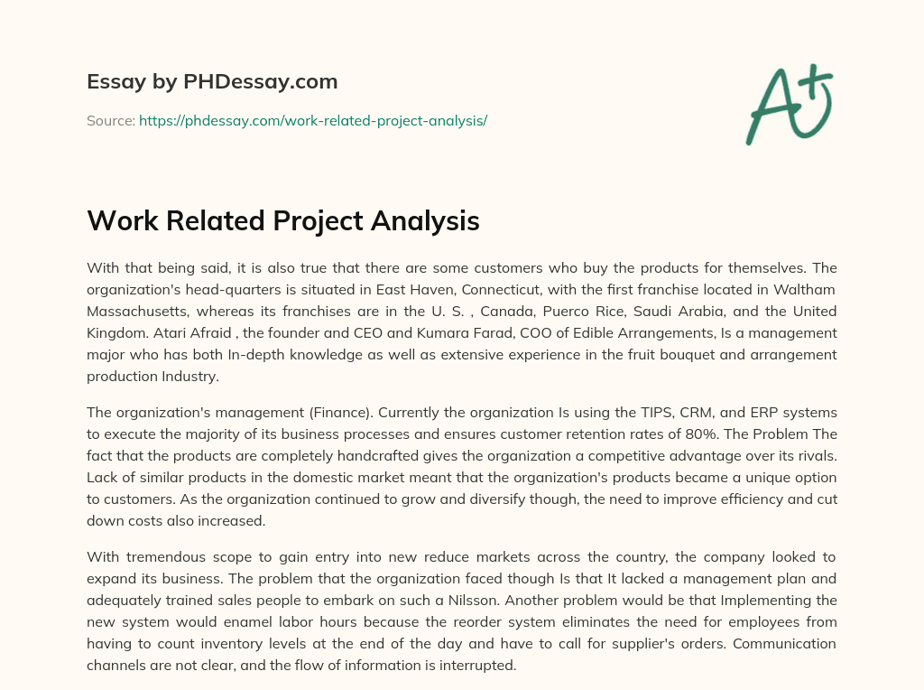 Work Related Project Analysis essay